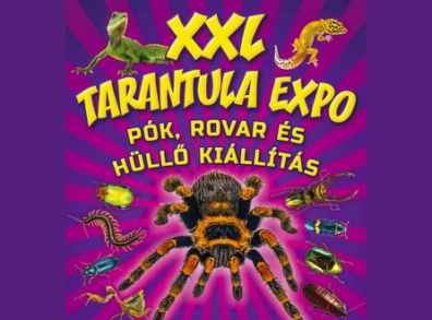 tarantula_expo